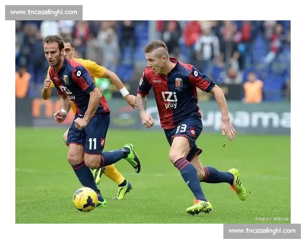 意甲高清直播全攻略实时赛事解说观看指南与精彩瞬间一网打尽