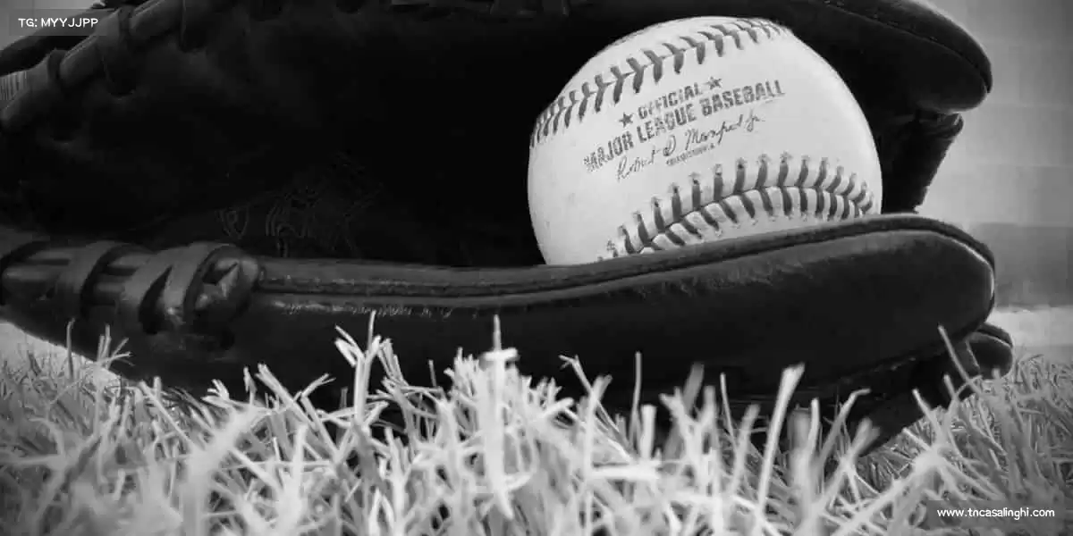 星空(中国)xingkong·官方网站🏀从菜鸟到高手，只差一次勇敢的开始 —— 体育梦想，此刻启航！